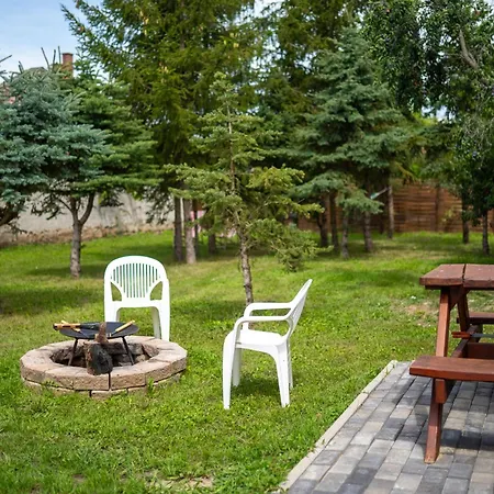 Koevirozsa Vendeghaz *