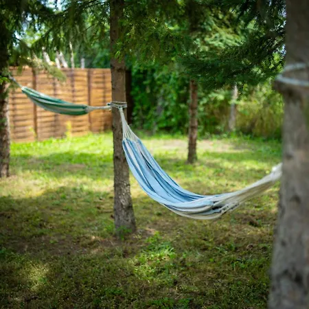 Koevirozsa Vendeghaz *