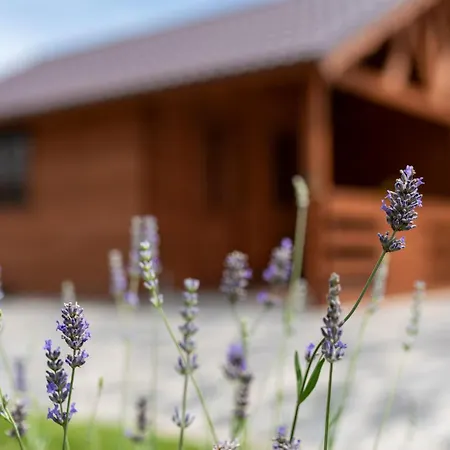 Appartamento Kövirózsa *