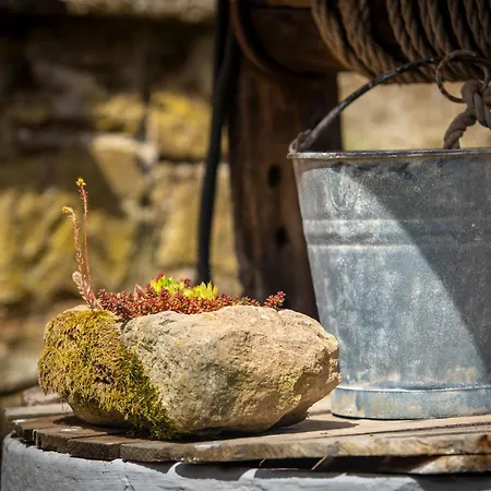 Kövirózsa Appartamento Cserepfalu