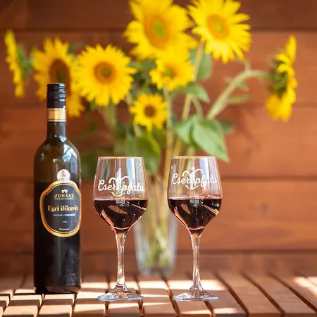 Lägenhet Koevirozsa Vendeghaz *