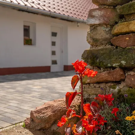 Kövirózsa * Cserepfalu